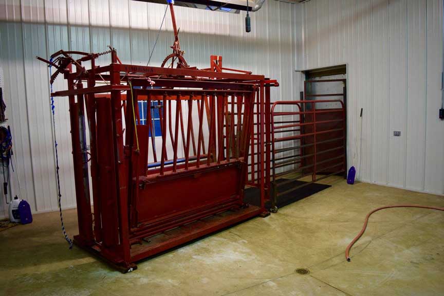 Cow Room