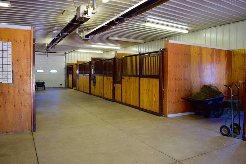 Equine Hospitalization