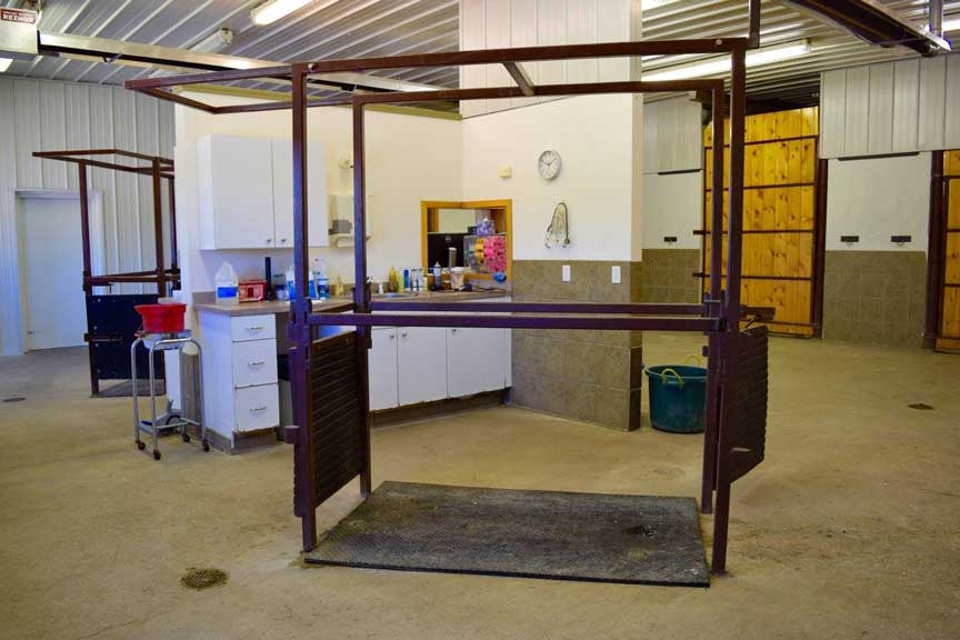 Treatment Stock
