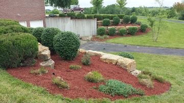 Landscape Cleanup and revitalization