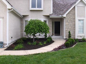 Landscape Project Front Yard