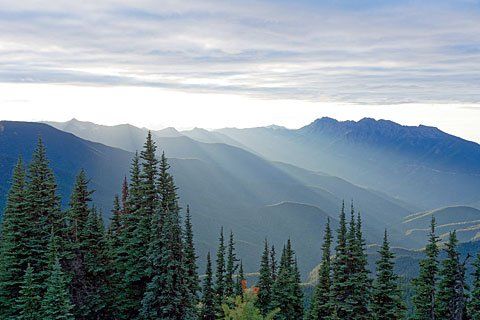 Pacific Northwest
