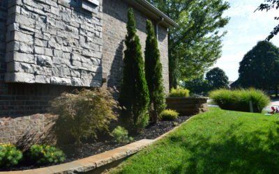 Backyard with Landscape — Springfield, MO — Nixa Lawn Service