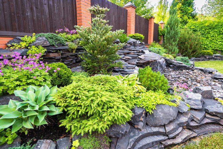Planting Shrubs and Flowers Lawn Care — Springfield, MO — Nixa Lawn Service