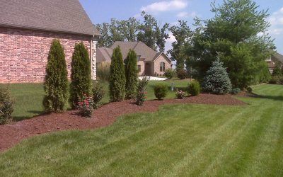 Green Plants Landscaping at Subdivision — Springfield, MO — Nixa Lawn Service
