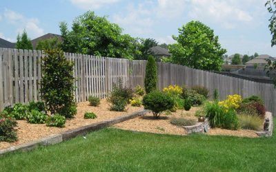 Plants Patio Inside Fence — Springfield, MO — Nixa Lawn Service