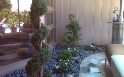 Indoor House Landscaping — Springfield, MO — Nixa Lawn Service