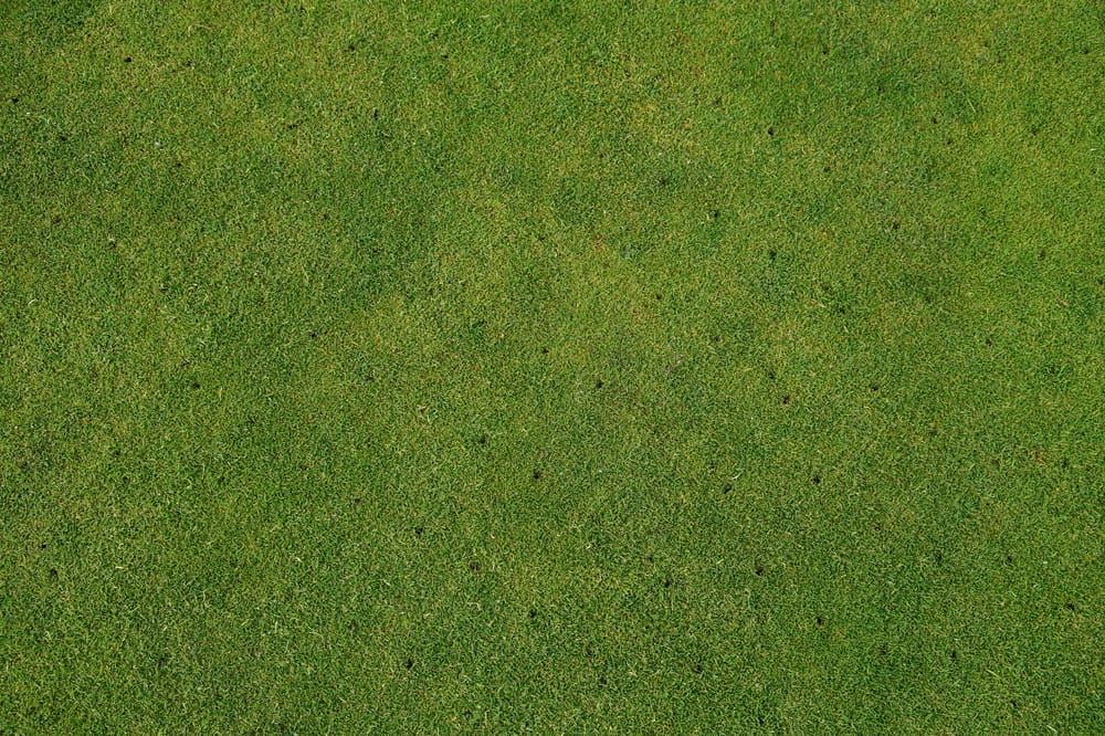 Aerating Grass Roots to Get the Nutrients — Springfield, MO — Nixa Lawn Service