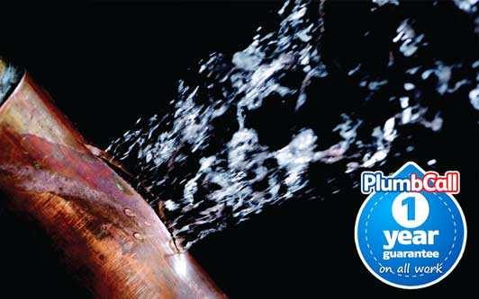 Plumbers Services