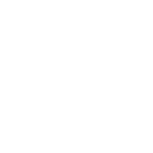 Expert Craftsmanship & Care on All Jobs