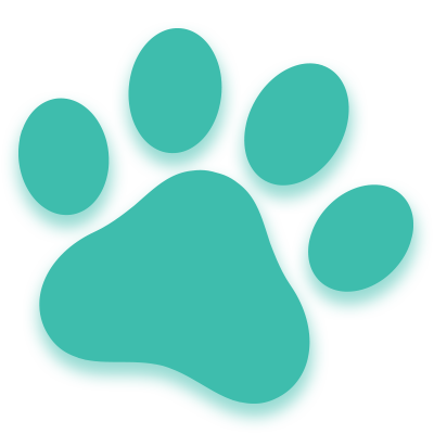Malibu Pet Hotel | Training | Freeport NY Malibu Pet Hotel | Training | Freeport NY