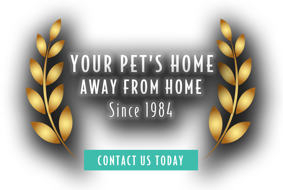Malibu Pet Hotel | Your Pet's Home Away From Home | Freeport NY Malibu Pet Hotel | Your Pet's Home Away From Home | Freeport NY