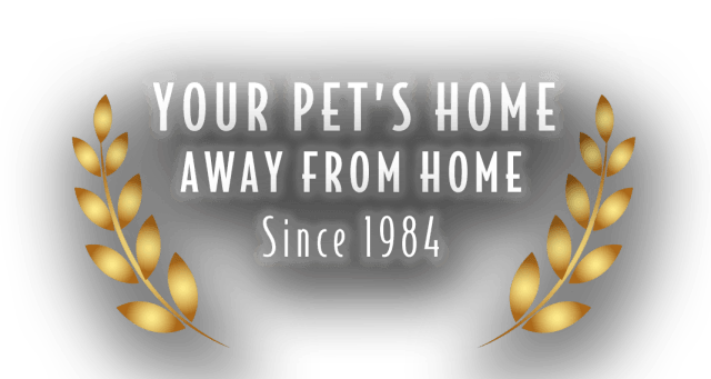 Malibu Pet Hotel | Your Pet's Home Away From Home | Freeport NY Malibu Pet Hotel | Your Pet's Home Away From Home | Freeport NY