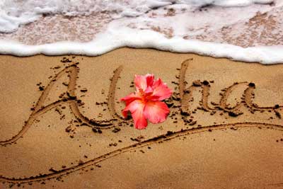 Aloha from Hawaii