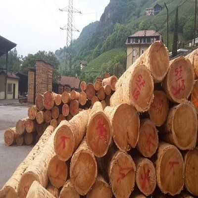 abbattimento alberi