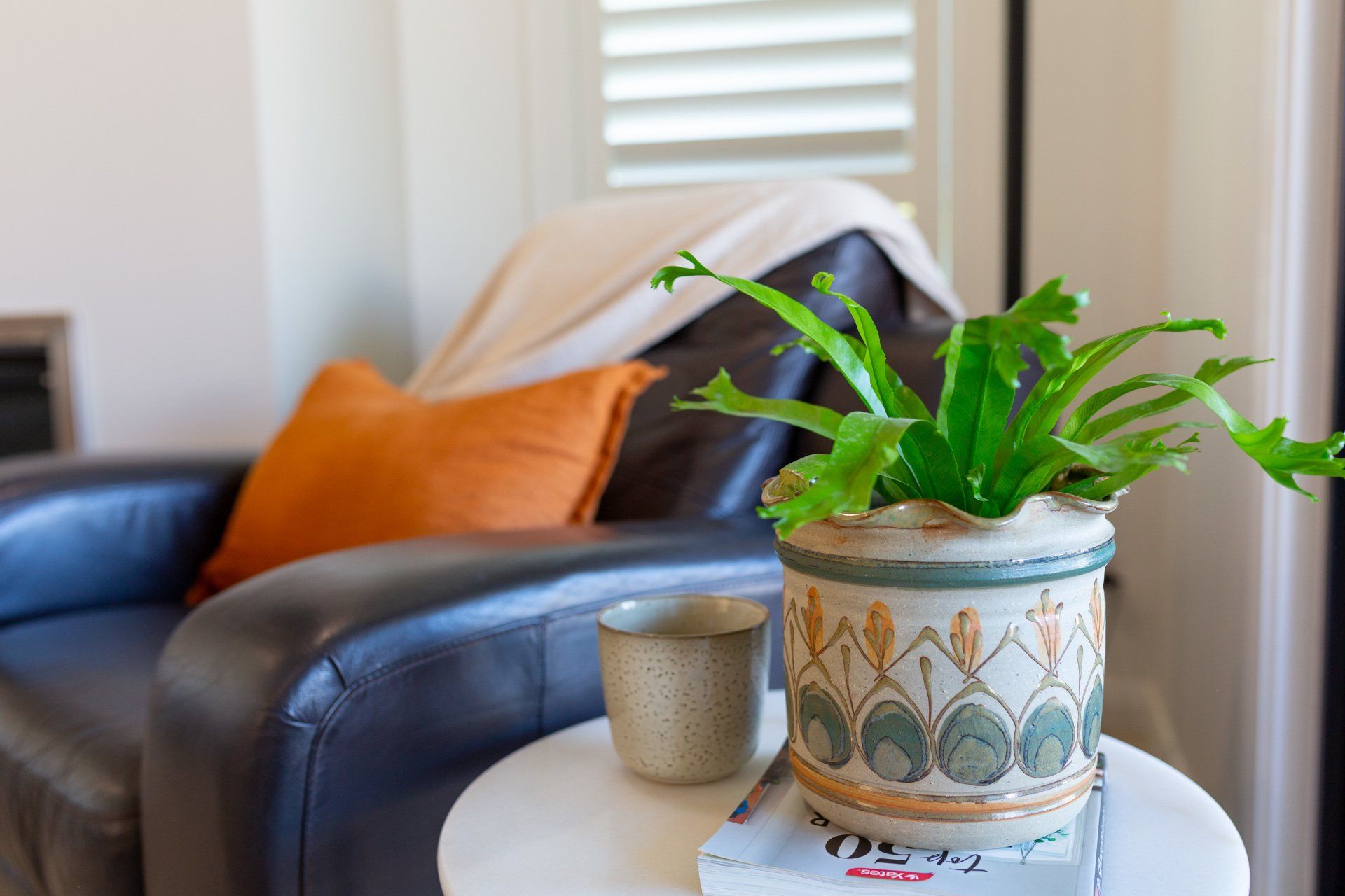 Plant in decorative pot on a table with a coffee cup and armchair in the background.