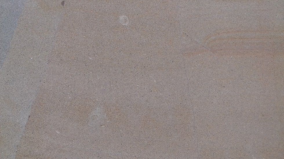 Arenaria Sarda