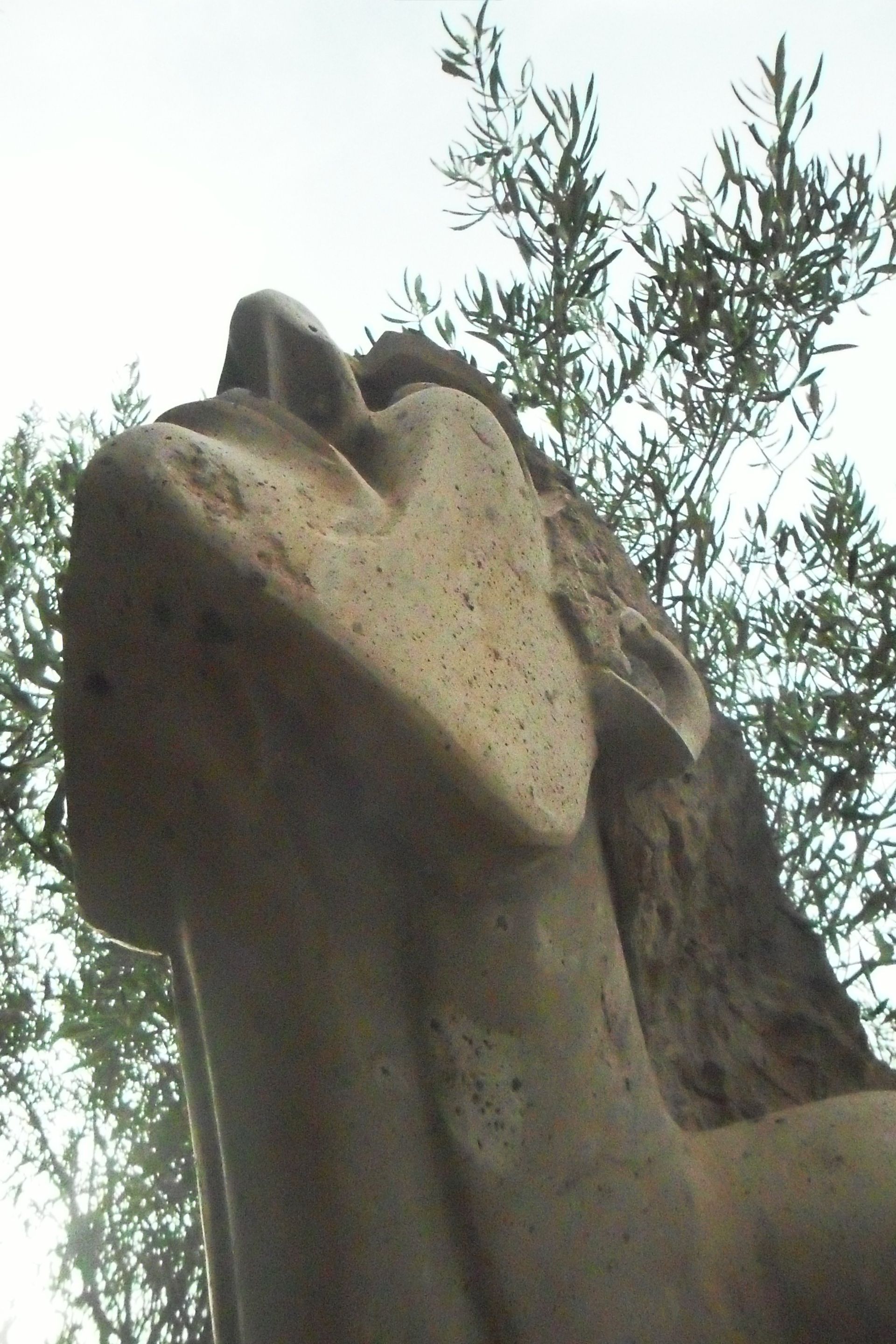 La Fuga