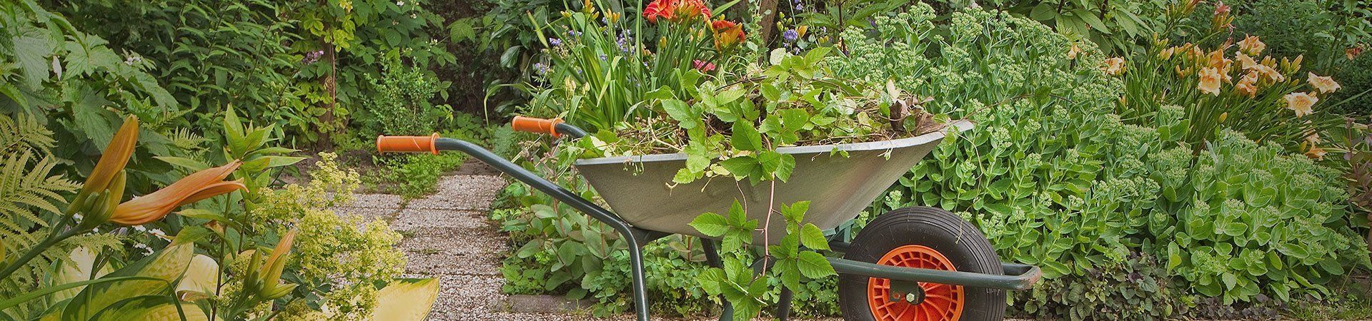 garden clearance