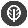 FALL ICON