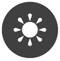 SPRING ICON