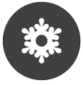 WINTER ICON