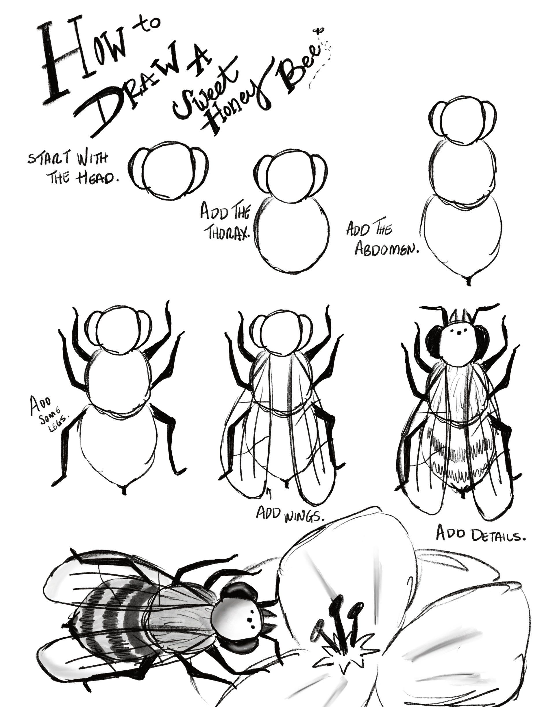 How to draw a honey bee for kids
