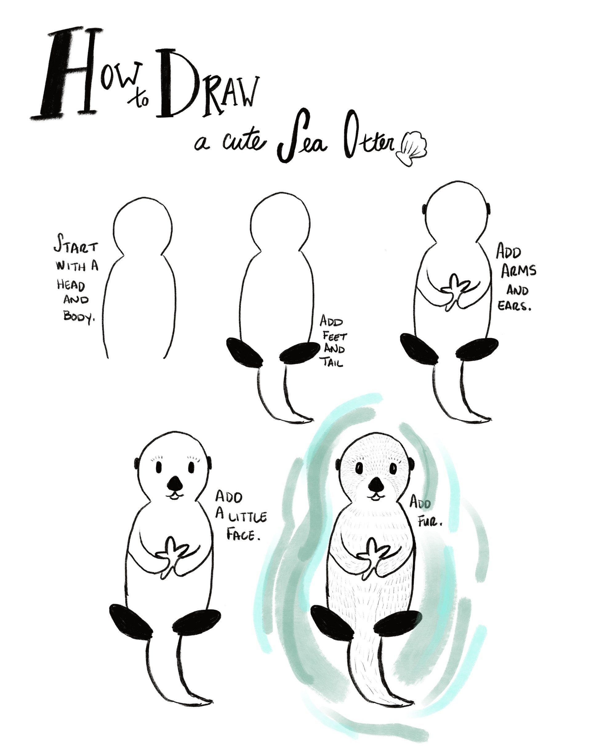 How to draw a sea otter for kids