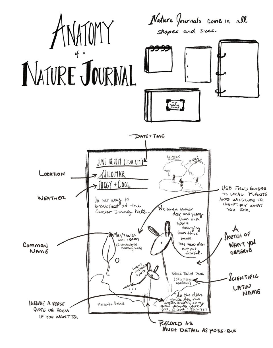 Anatomy of a nature journal, exploring nature with children