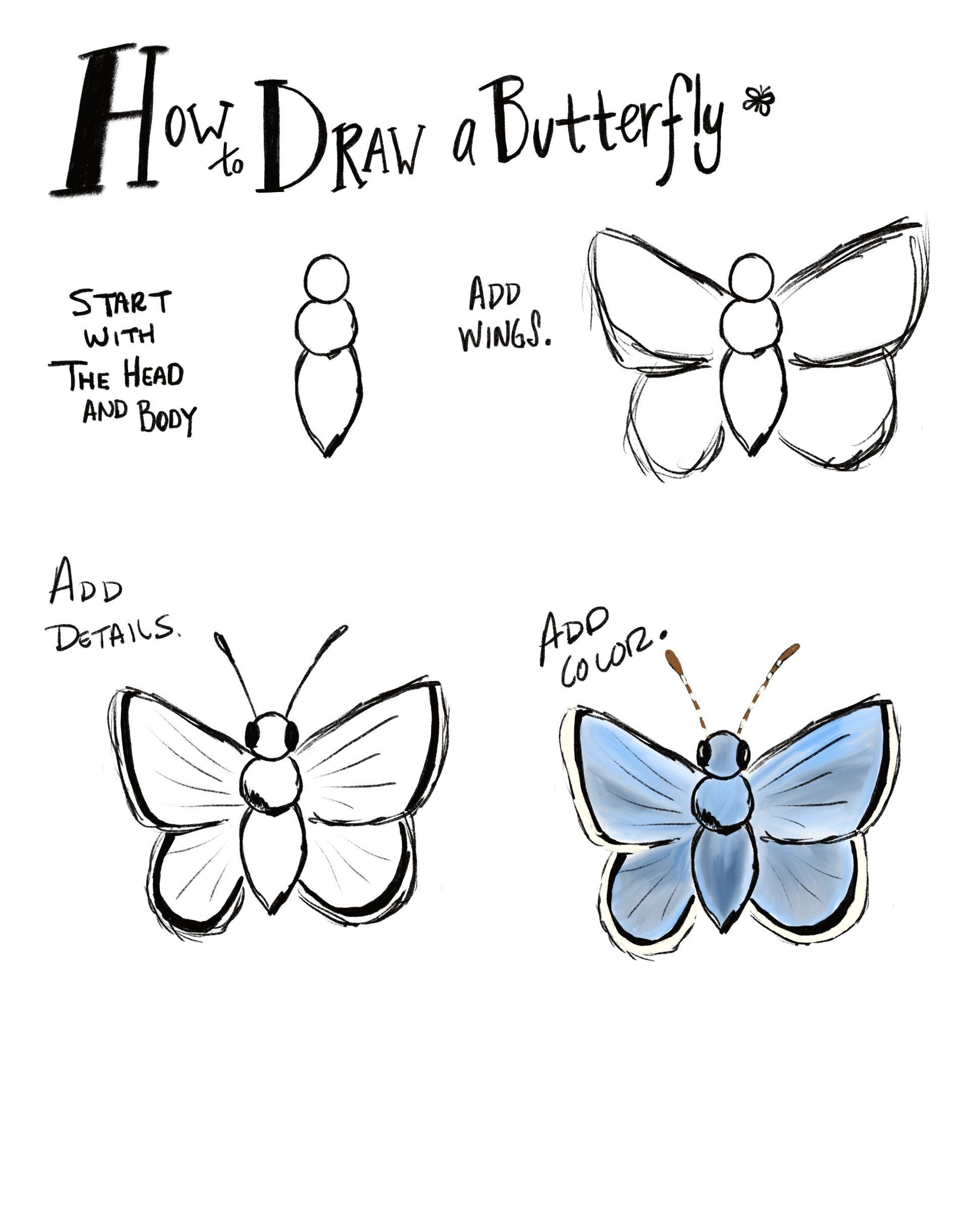 How to draw a butterfly for kids