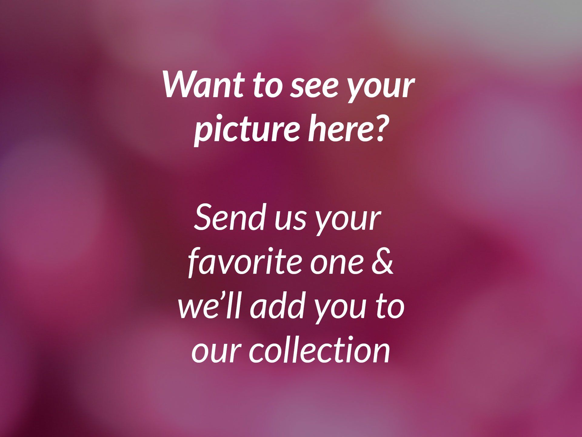 Carie's Posing Suits wants your picture