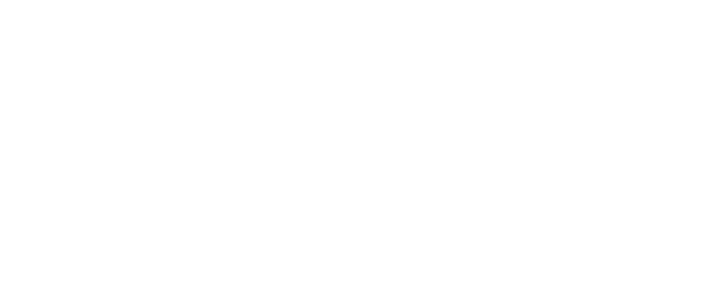 White P3 logo