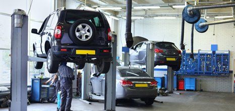 MOT preparation