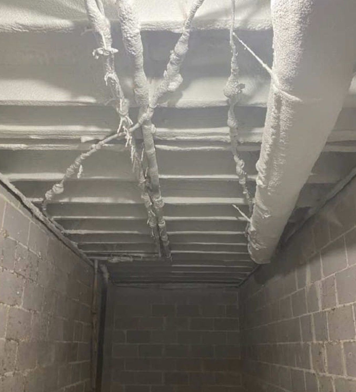 ceiling spray on insulation around plumbing Tucson