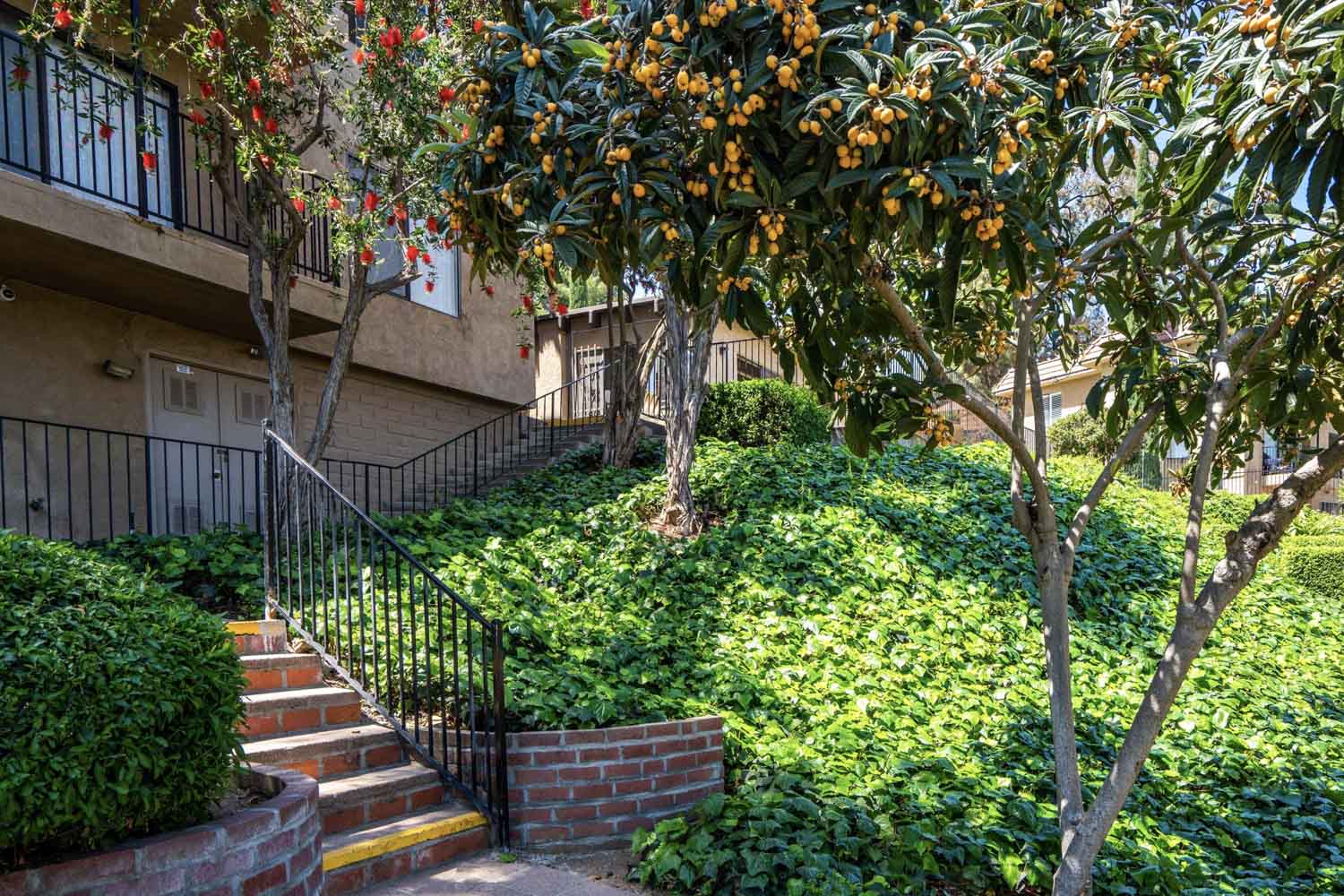 Exterior | Sierra Vista