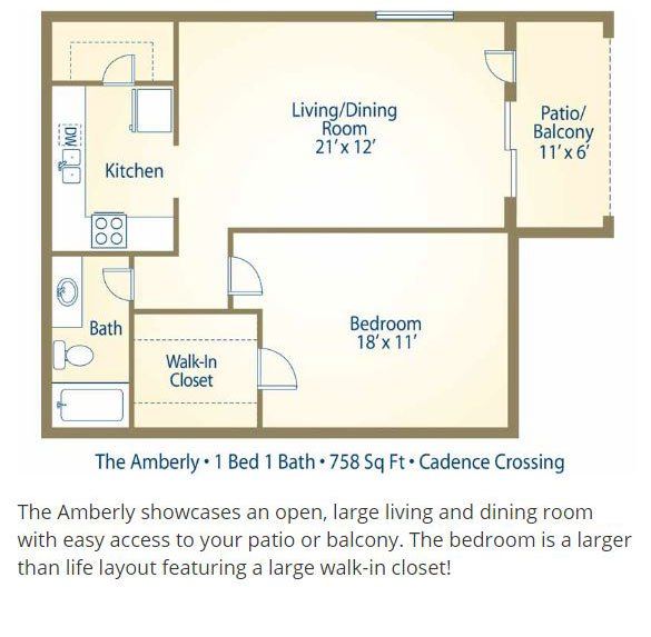 Cadence Crossing 1 bedroom floor plan