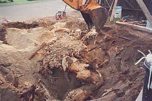 Bulldozer digging up dirt in septic installation area