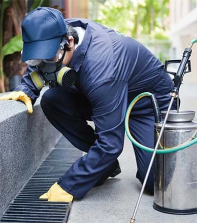 Commercial Pest Control Services Commercial Pest Control Services