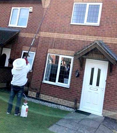 Domestic Pest Control Services Domestic Pest Control Services