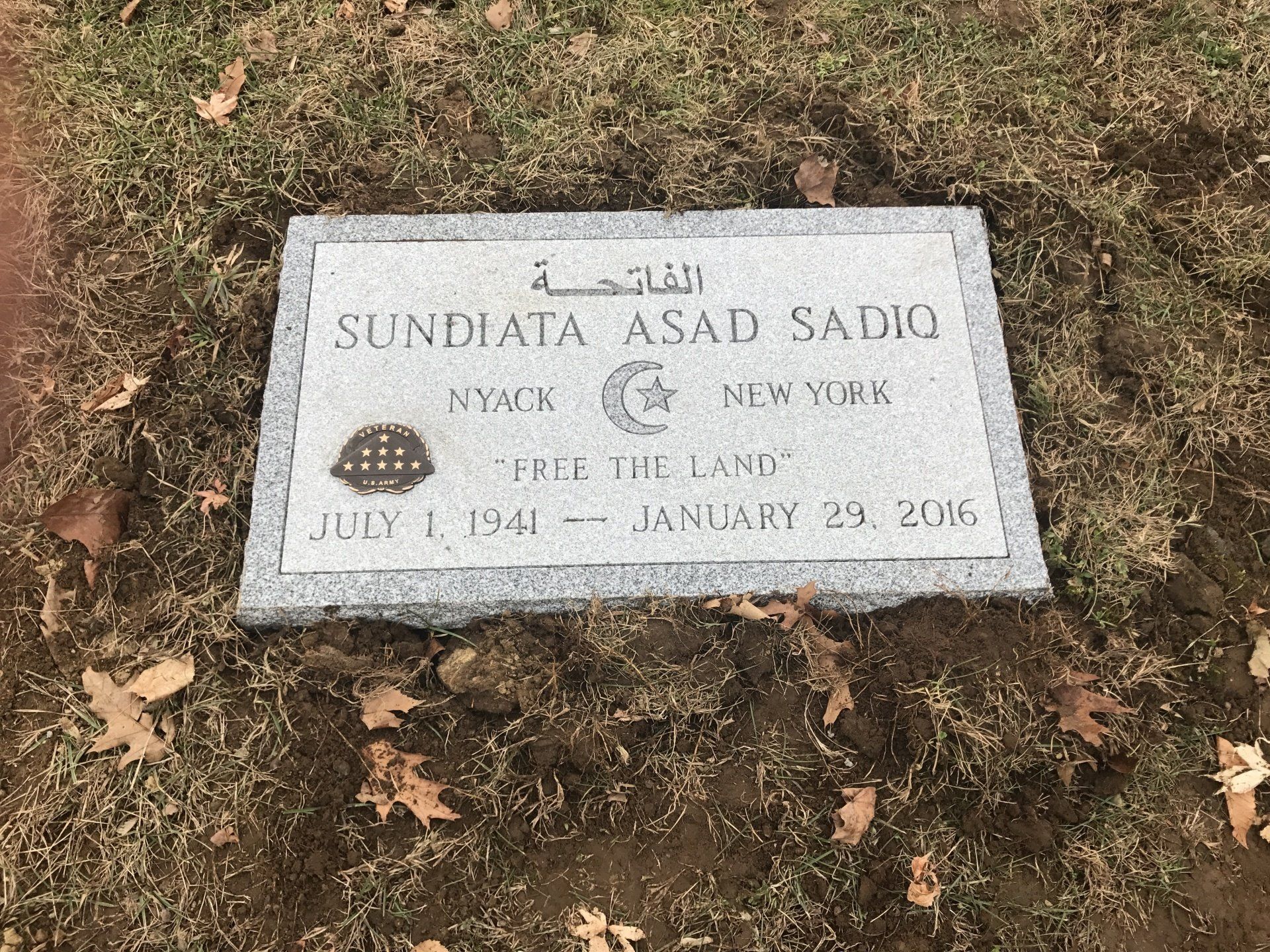 Sadiq Barre Grey Polished Top BRP Sides Oversized Bronze Emblem Deep Cut Lettering Single Outlined Panel Saw Sheen