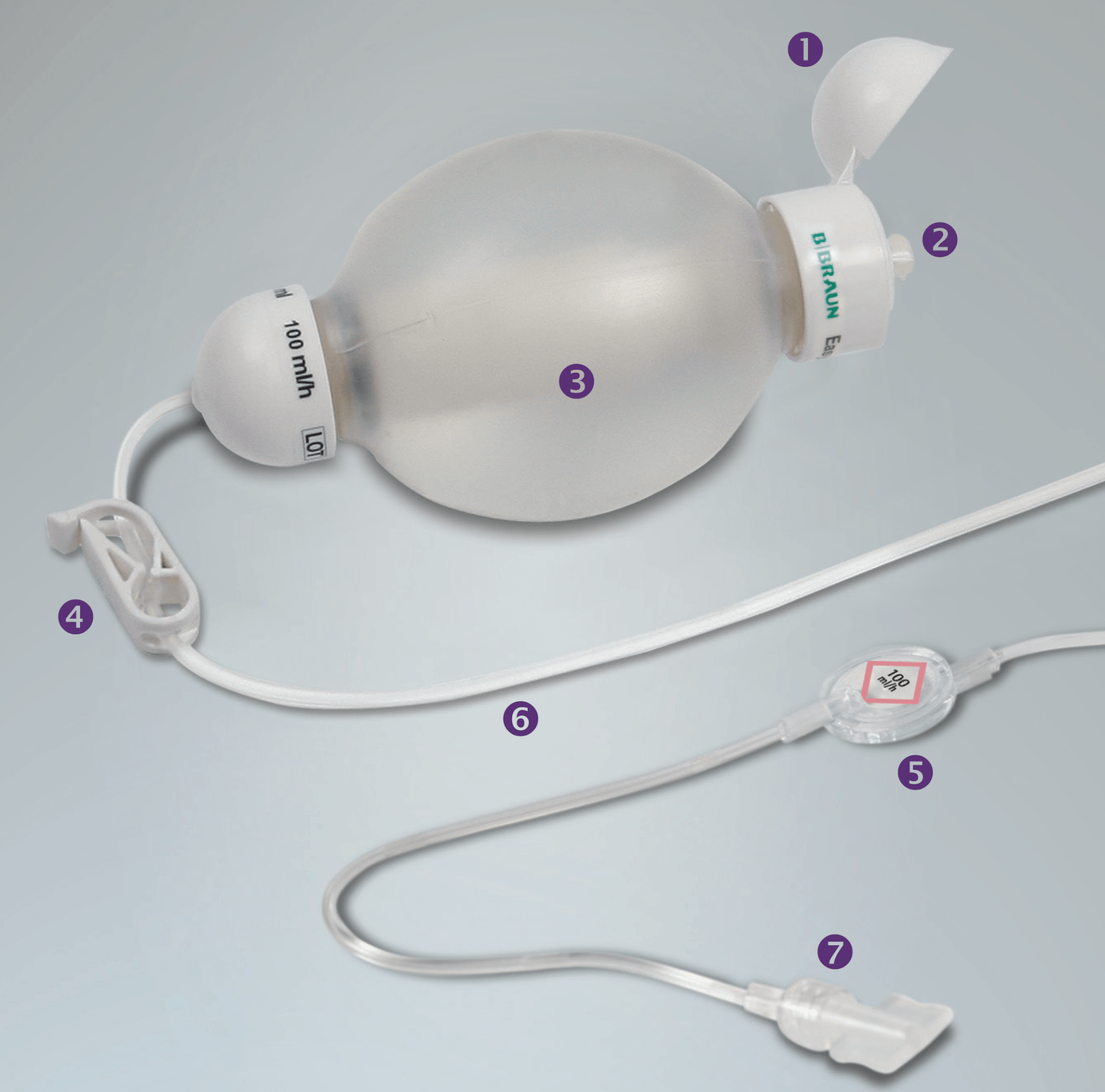 B Braun's Easypump