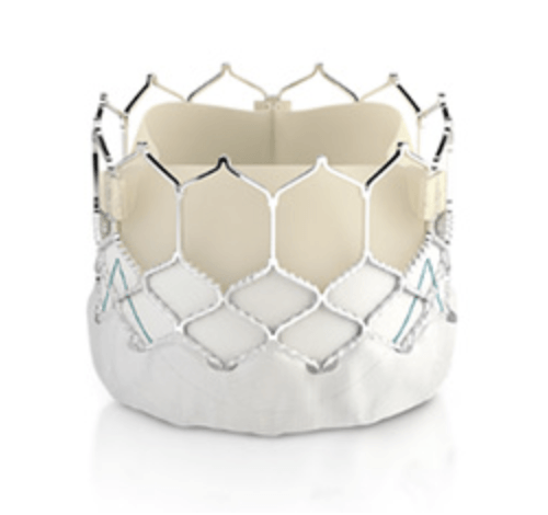 Edwards Heart Valve