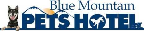 blue mountain logo