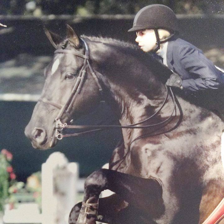 Natural health care formulas for horses