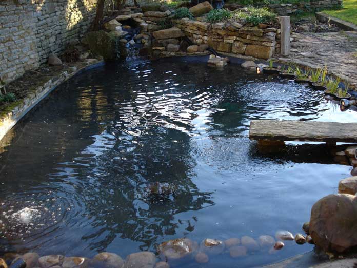 filled pond