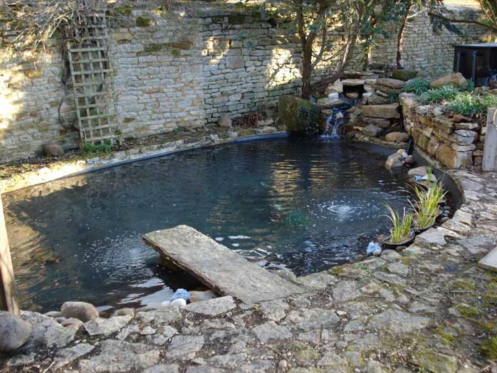 pond after repair