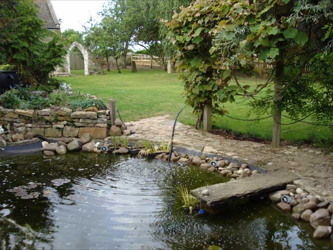 pond at bottom of garden