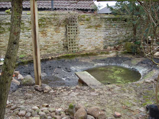 green garden pond