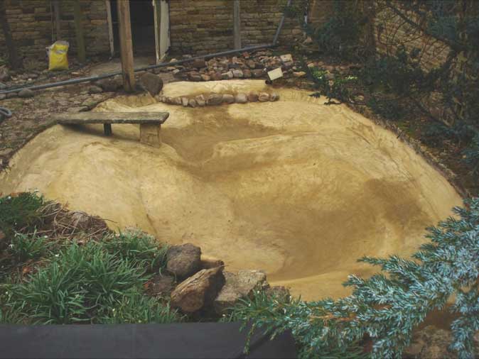fully drained pond