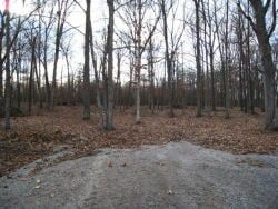 For Rent — Acre Wood in Murray, KY